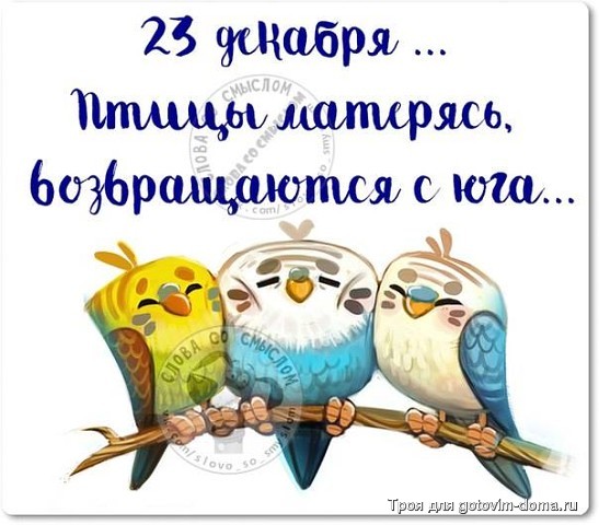 image (2).jpg