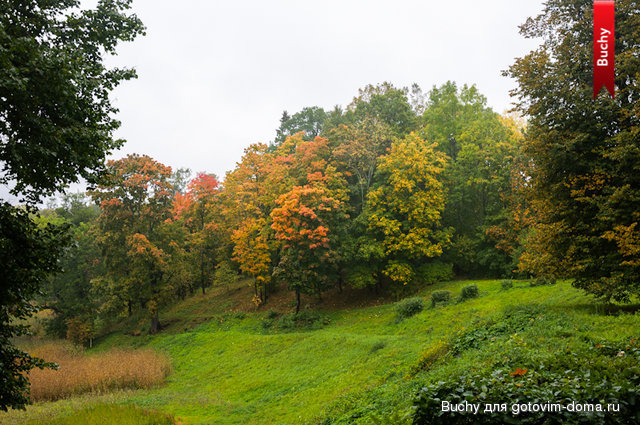untitled_23.09.12_025.jpg