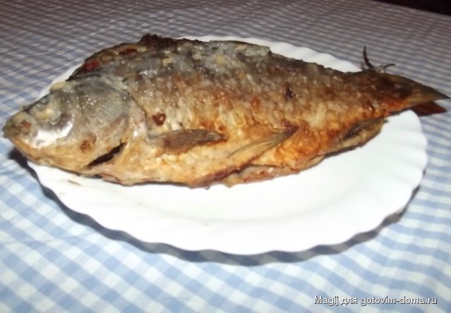 DSCF2964.JPG