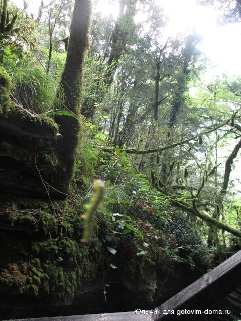 IMG_2001.JPG