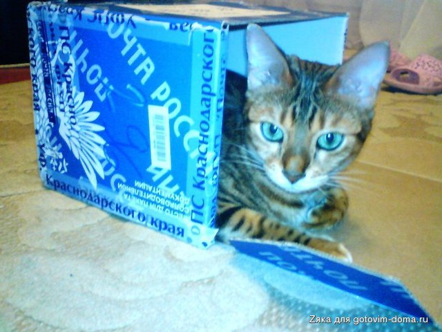 DSC00406.JPG