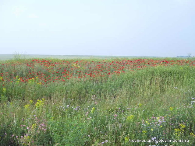 image3.jpg
