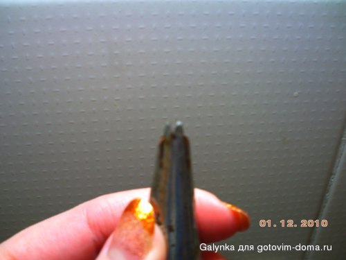 PICT0732.JPG