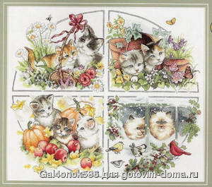 Dimensions-35154-FourSeasonKittens.jpg