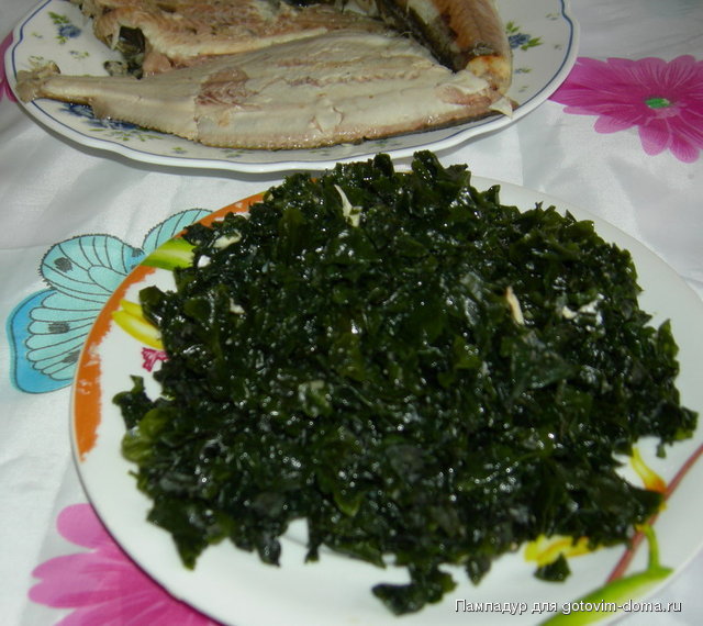DSCN0179.JPG