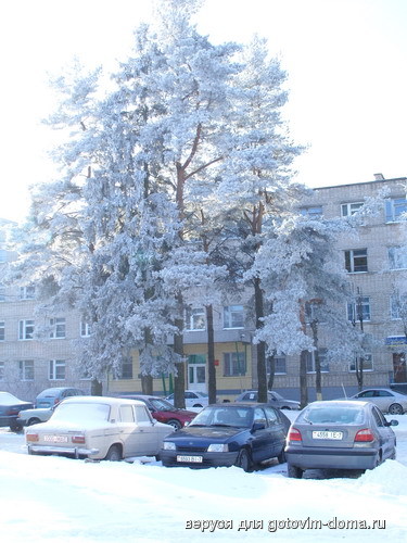 SS850347_resize.JPG