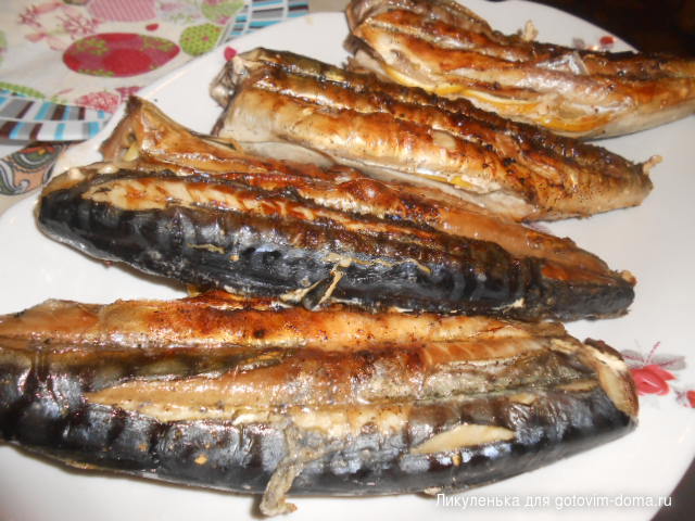 DSCN4253.JPG