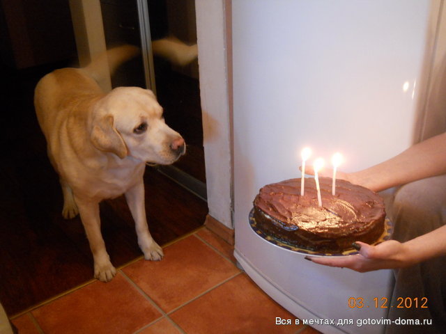 DSCN2025.jpg
