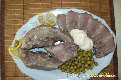 100_2383.jpg cc.jpg