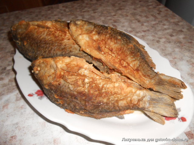 DSCN2152.JPG