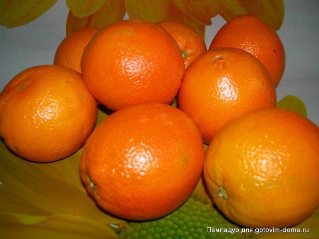 DSCN8880.JPG