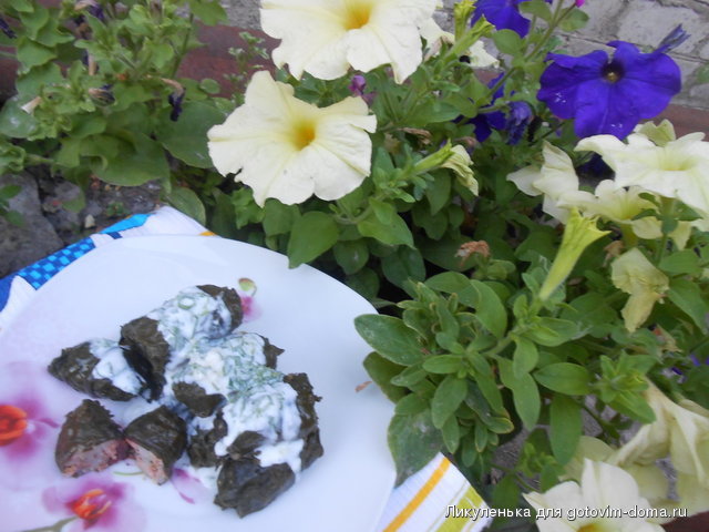 DSCN1302.JPG