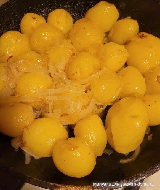 Кртошка Молодая Екатерина.jpg
