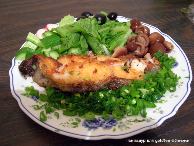 DSCN1135.JPG