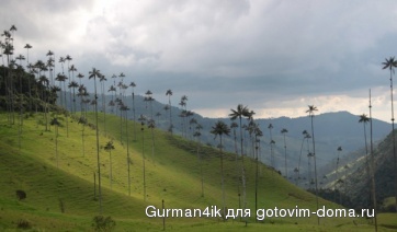 Долина Кокора.jpg