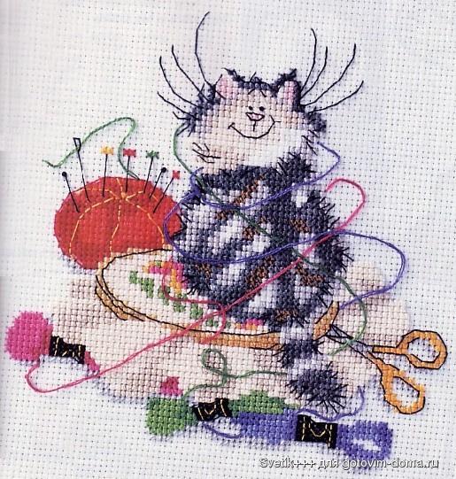Crafty cat.jpg