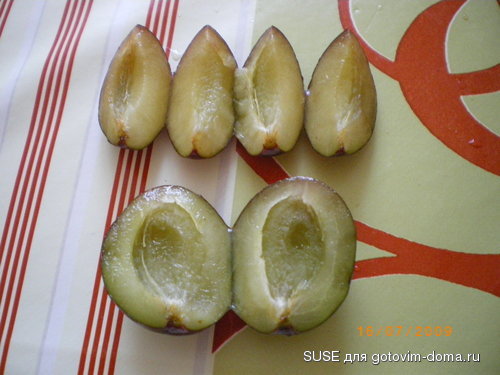 IMGP2418.jpg