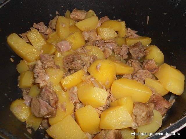 DSCN7143.JPG