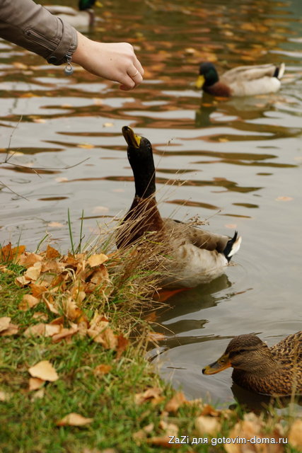 DSC04577.JPG