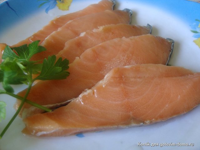 DSC08170.JPG