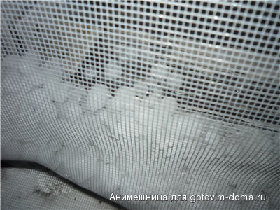 p1000611.jpg