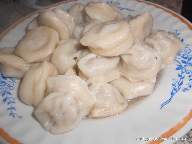 DSCN6505.JPG