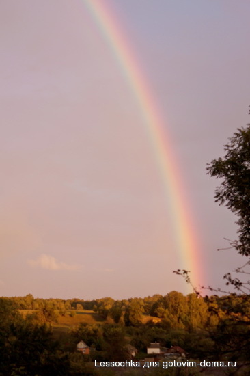 File0229.JPG