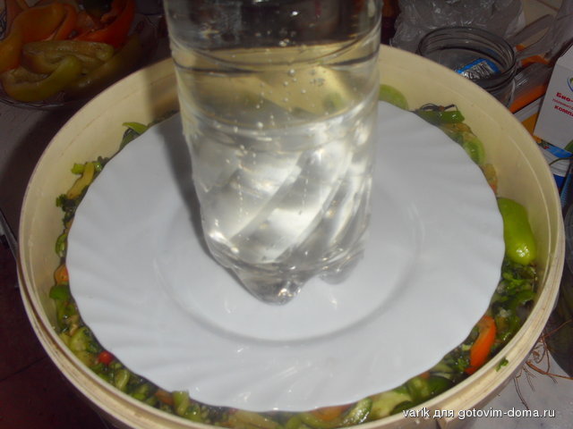 SDC12811.JPG