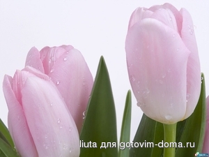 aqc3qak5y7rx6cifovd3wdm09f0tljvg_4.jpg