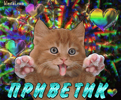 75098481_kot_s_privetom.gif