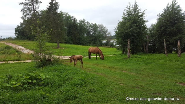 20160802_072534.jpg