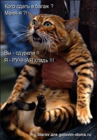 6af51a3c449e933f27dad8a198fc8b6f.jpg