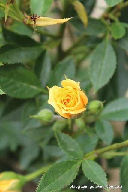 2013_08_11_1451.jpg