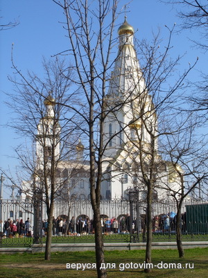 SS856555_новый размер.JPG