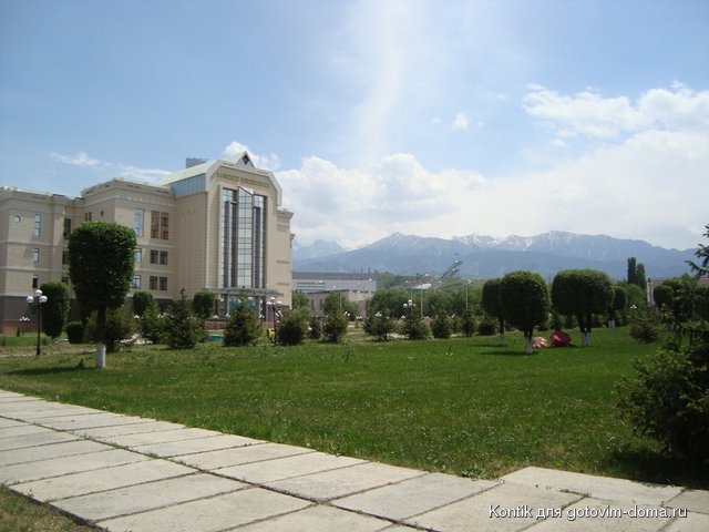 DSC05355.JPG