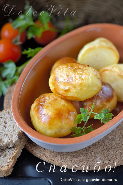 patate sp.jpg