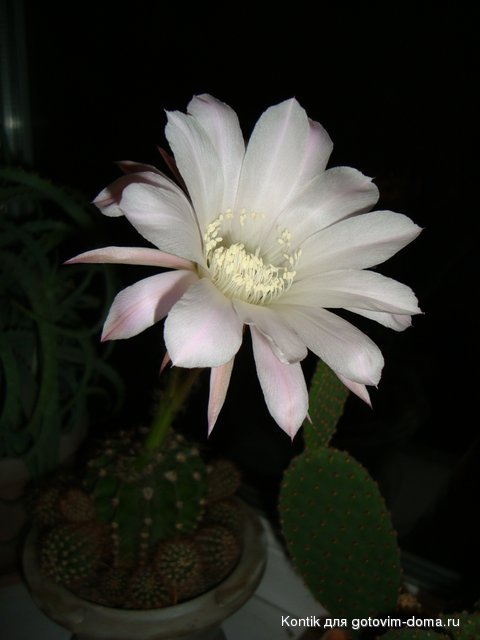 DSC01612.JPG