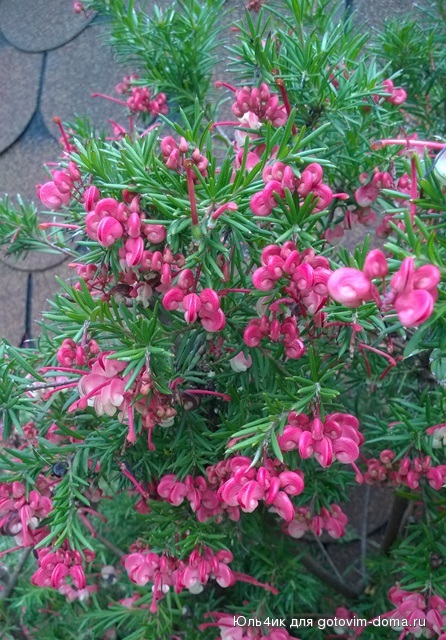 WP_20160324_008.jpg