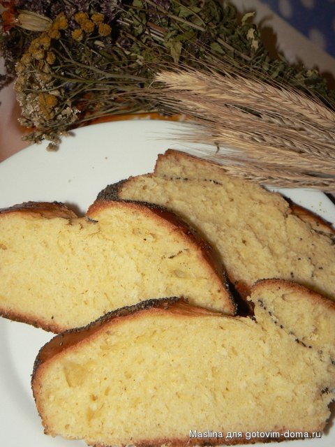 P1070753.JPG