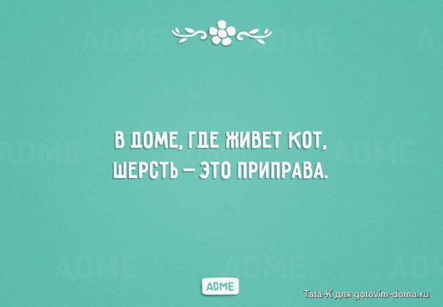 В доме, где живет кот.jpg