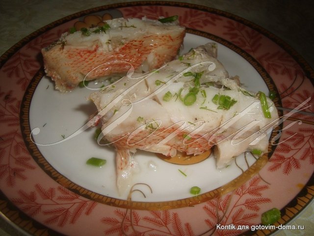 DSC02280.JPG