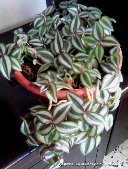 20100609_0203.jpg