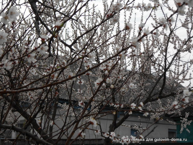 DSCN0483.jpg