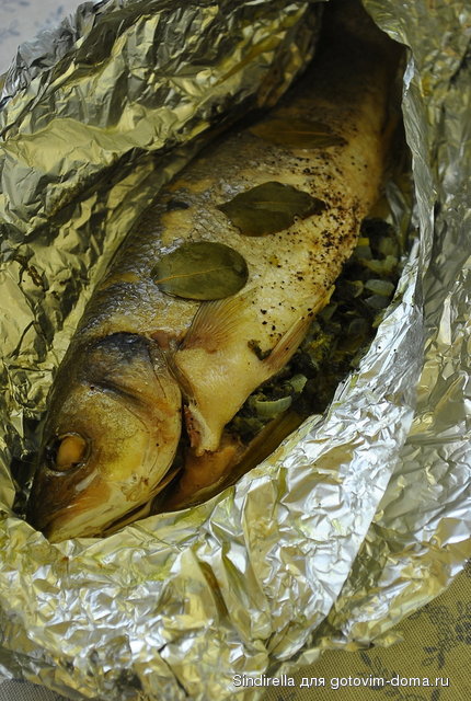 _DSC0003.JPG