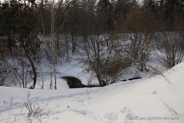 DSC05318_resize.JPG