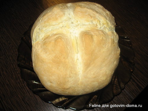 333 009_resize.jpg
