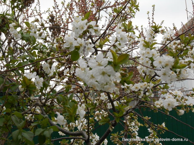DSCN0495.jpg