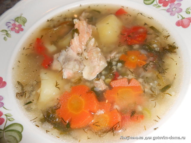 DSCN0537.JPG