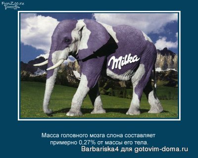 милка.jpg