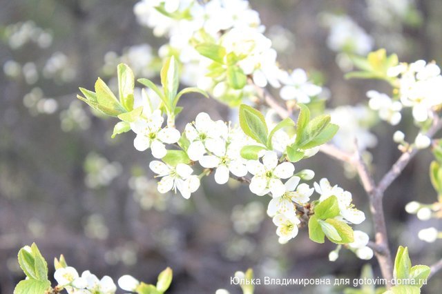 IMG_8752.jpg